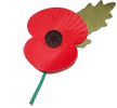 Old English Poppy